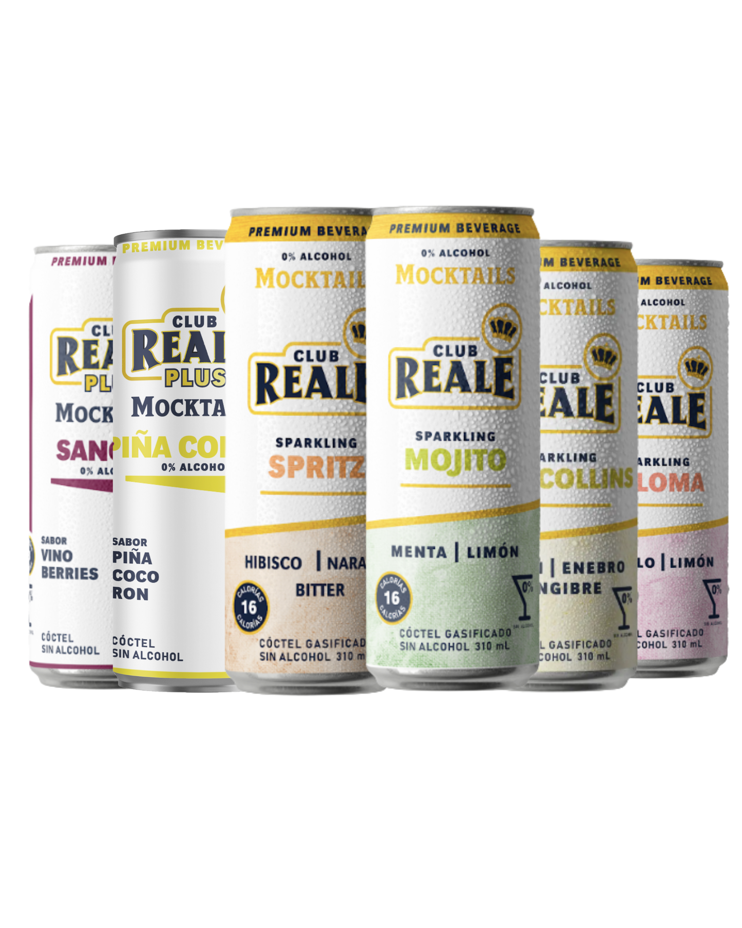 Pack Ready to drink 6 sabores